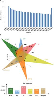 Integrated Analysis of mRNA-Seq and MiRNA-Seq Reveals the Molecular Mechanism of the Intestinal Immune Response in Marsupenaeus japonicus Under Decapod Iridescent Virus 1 Infection